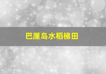 巴厘岛水稻梯田