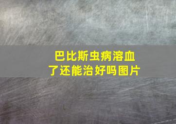 巴比斯虫病溶血了还能治好吗图片