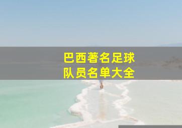 巴西著名足球队员名单大全