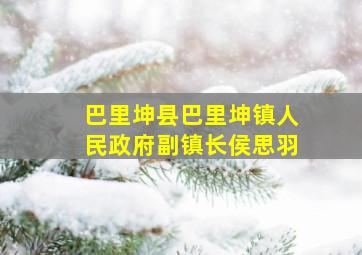 巴里坤县巴里坤镇人民政府副镇长侯思羽