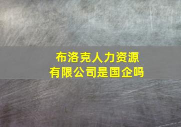 布洛克人力资源有限公司是国企吗