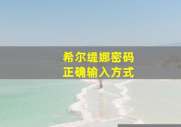 希尔缇娜密码正确输入方式