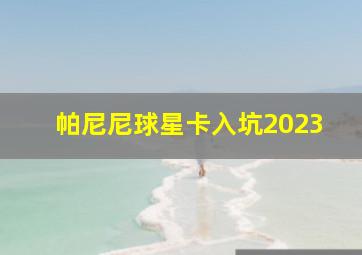 帕尼尼球星卡入坑2023