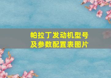 帕拉丁发动机型号及参数配置表图片