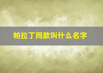 帕拉丁同款叫什么名字