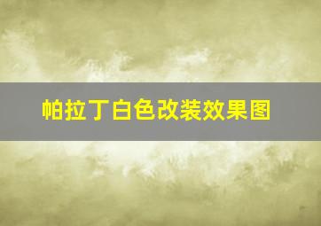 帕拉丁白色改装效果图