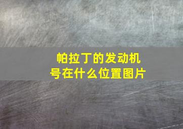 帕拉丁的发动机号在什么位置图片