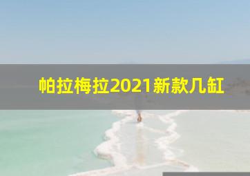 帕拉梅拉2021新款几缸