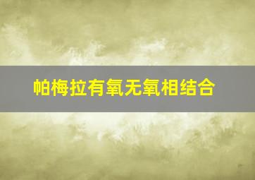 帕梅拉有氧无氧相结合