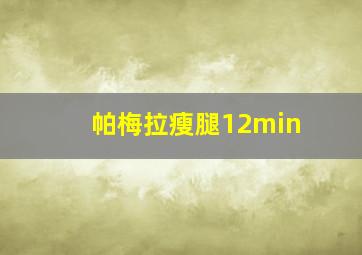 帕梅拉瘦腿12min