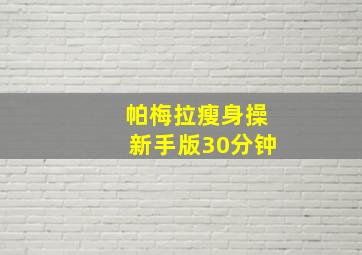 帕梅拉瘦身操新手版30分钟