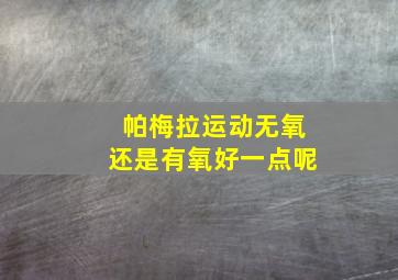 帕梅拉运动无氧还是有氧好一点呢