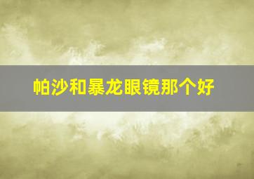 帕沙和暴龙眼镜那个好