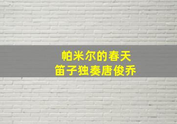 帕米尔的春天笛子独奏唐俊乔