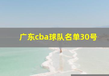 广东cba球队名单30号