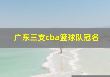 广东三支cba篮球队冠名