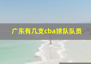 广东有几支cba球队队员