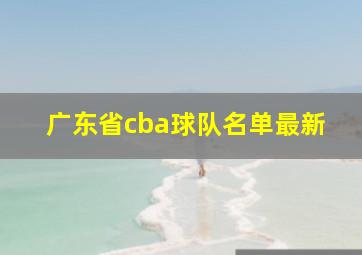 广东省cba球队名单最新