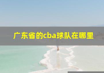 广东省的cba球队在哪里