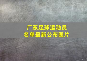 广东足球运动员名单最新公布图片