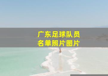 广东足球队员名单照片图片