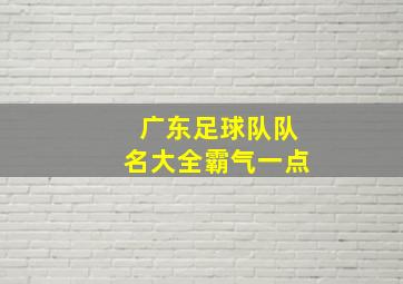 广东足球队队名大全霸气一点