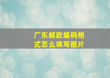 广东邮政编码格式怎么填写图片