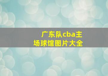 广东队cba主场球馆图片大全