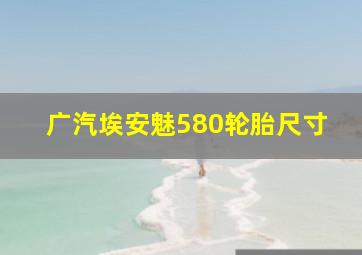 广汽埃安魅580轮胎尺寸