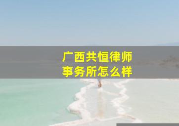 广西共恒律师事务所怎么样