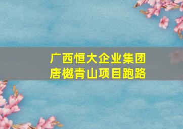 广西恒大企业集团唐樾青山项目跑路