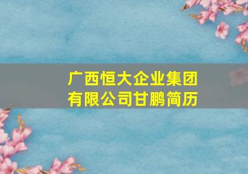 广西恒大企业集团有限公司甘鹏简历