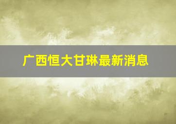 广西恒大甘琳最新消息