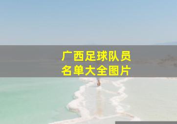 广西足球队员名单大全图片