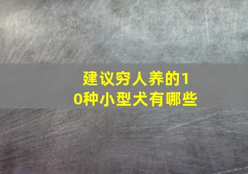 建议穷人养的10种小型犬有哪些