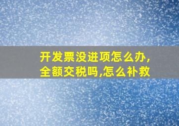 开发票没进项怎么办,全额交税吗,怎么补救