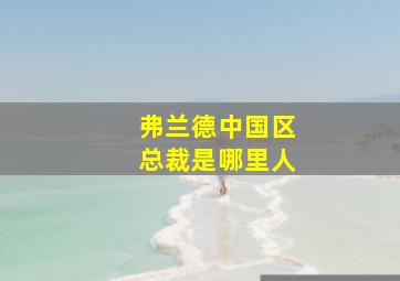 弗兰德中国区总裁是哪里人