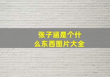 张子涵是个什么东西图片大全