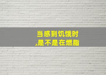 当感到饥饿时,是不是在燃脂