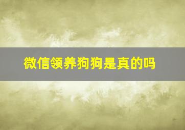 微信领养狗狗是真的吗