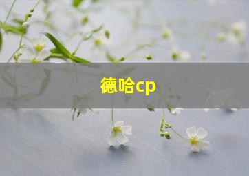 德哈cp