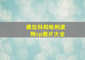 德拉科和哈利波特cp图片大全