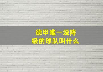 德甲唯一没降级的球队叫什么