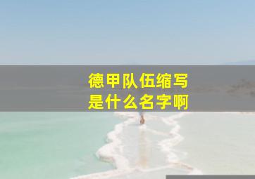 德甲队伍缩写是什么名字啊