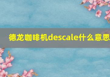 德龙咖啡机descale什么意思