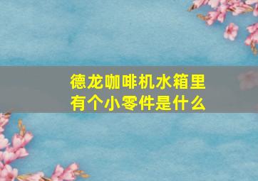 德龙咖啡机水箱里有个小零件是什么