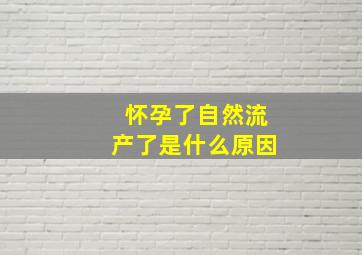 怀孕了自然流产了是什么原因