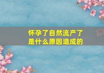 怀孕了自然流产了是什么原因造成的