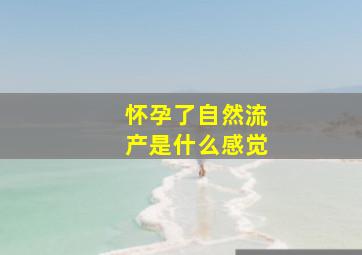 怀孕了自然流产是什么感觉