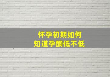 怀孕初期如何知道孕酮低不低